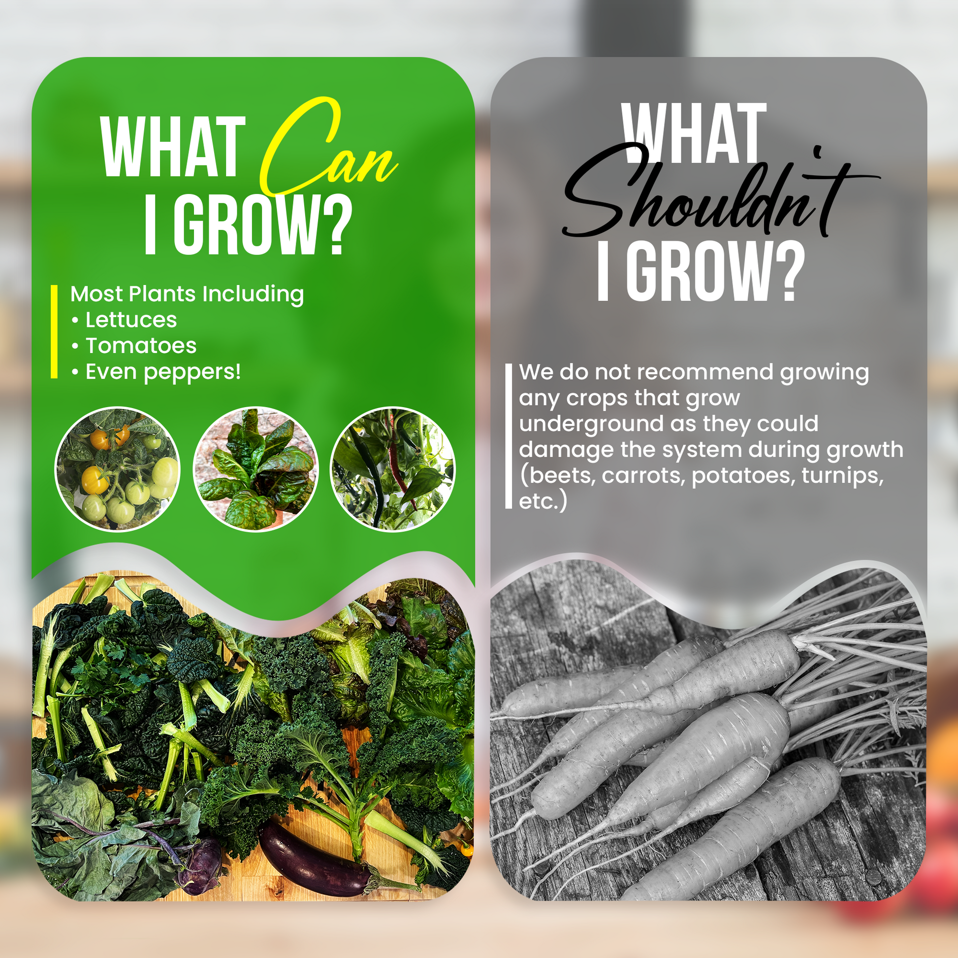 The Hydro Tower® CT2 Indoor Hydroponic Growing System