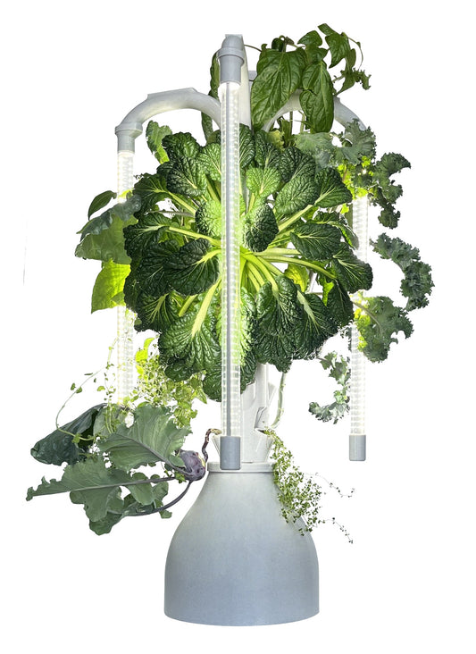 The Hydro Tower® CT2 Indoor Hydroponic Growing System